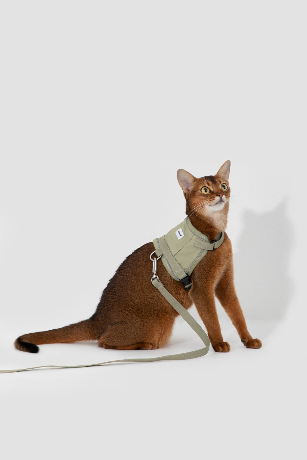 Valley Small Vest Cat Harness & Leash Set