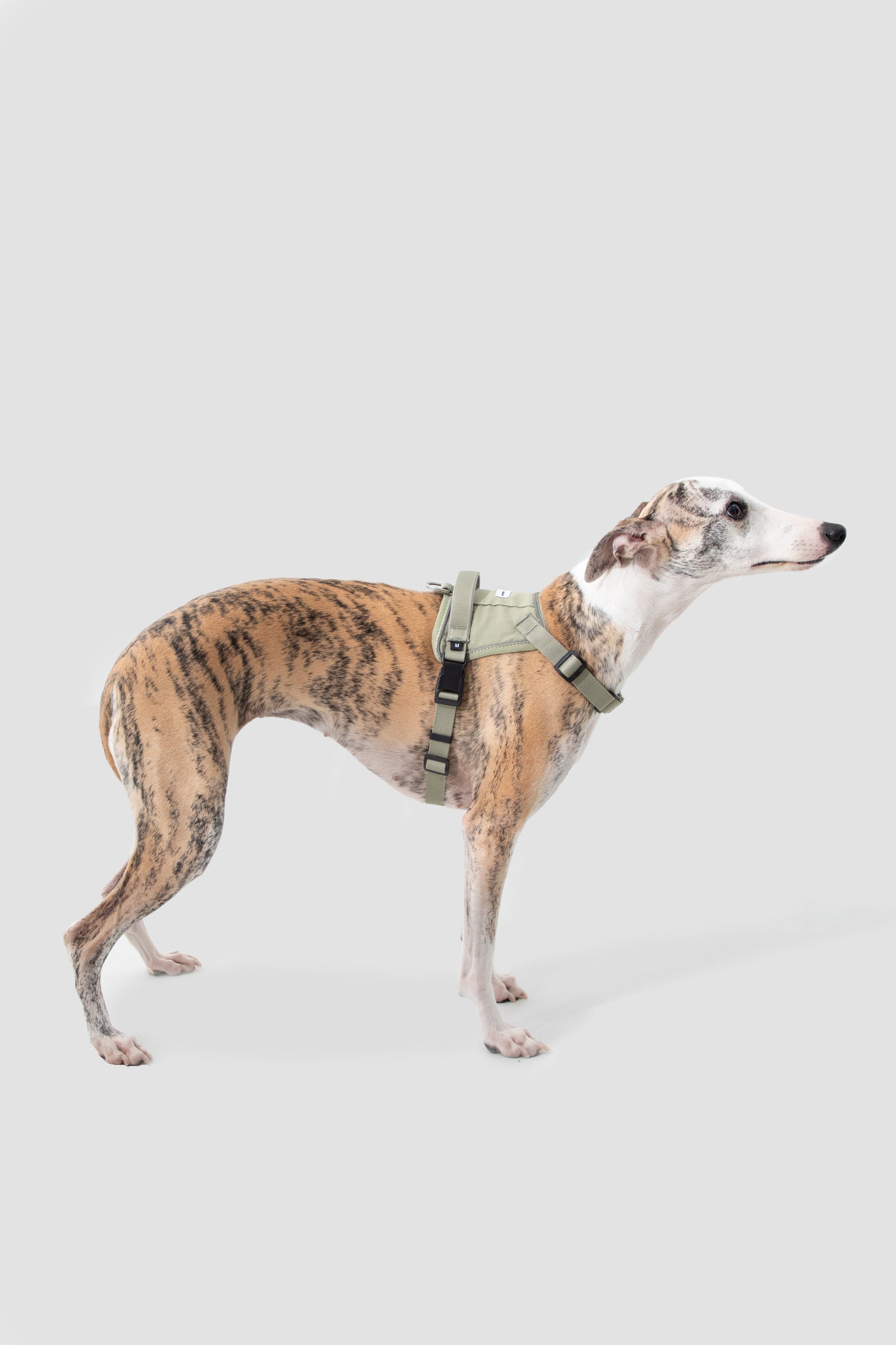 Valley Series - Dog Quick-Wear Anti-Pull Harness