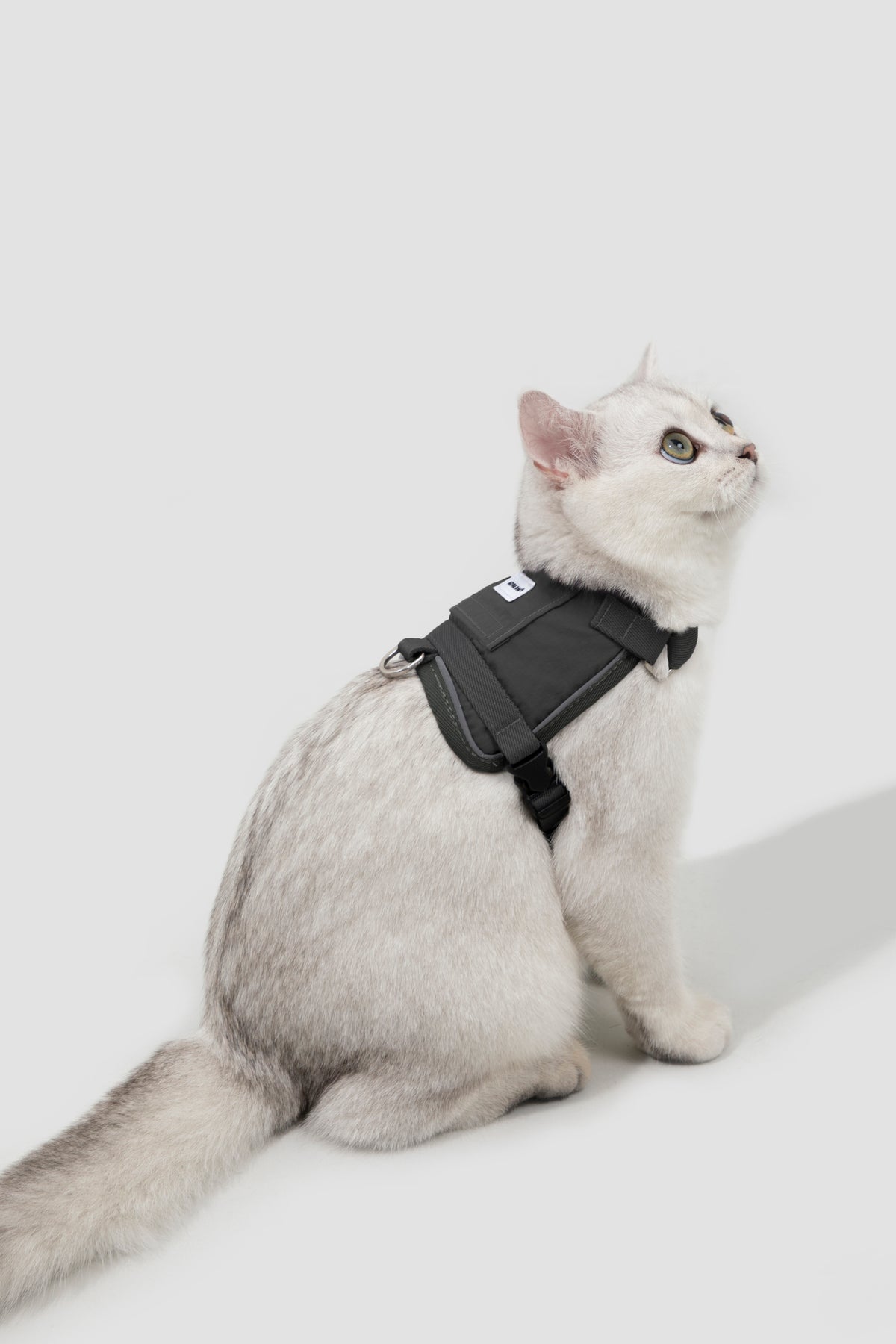 Valley Small Vest Cat Harness & Leash Set