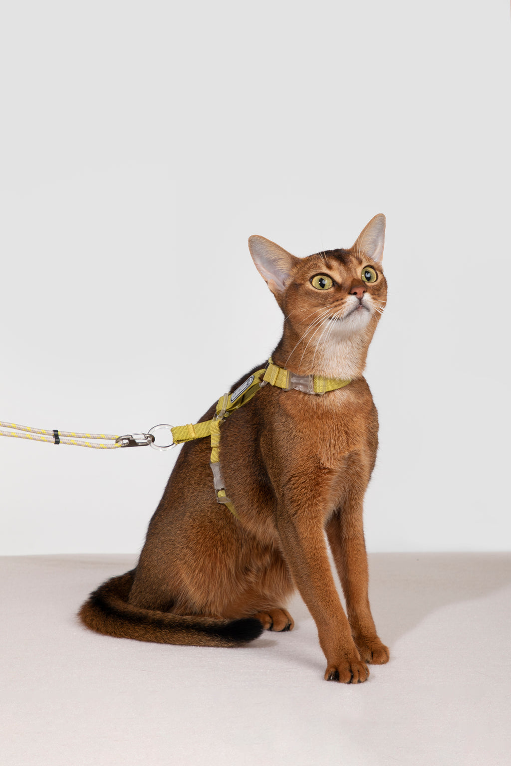 Free Exploration Cat Harness & Leash Set