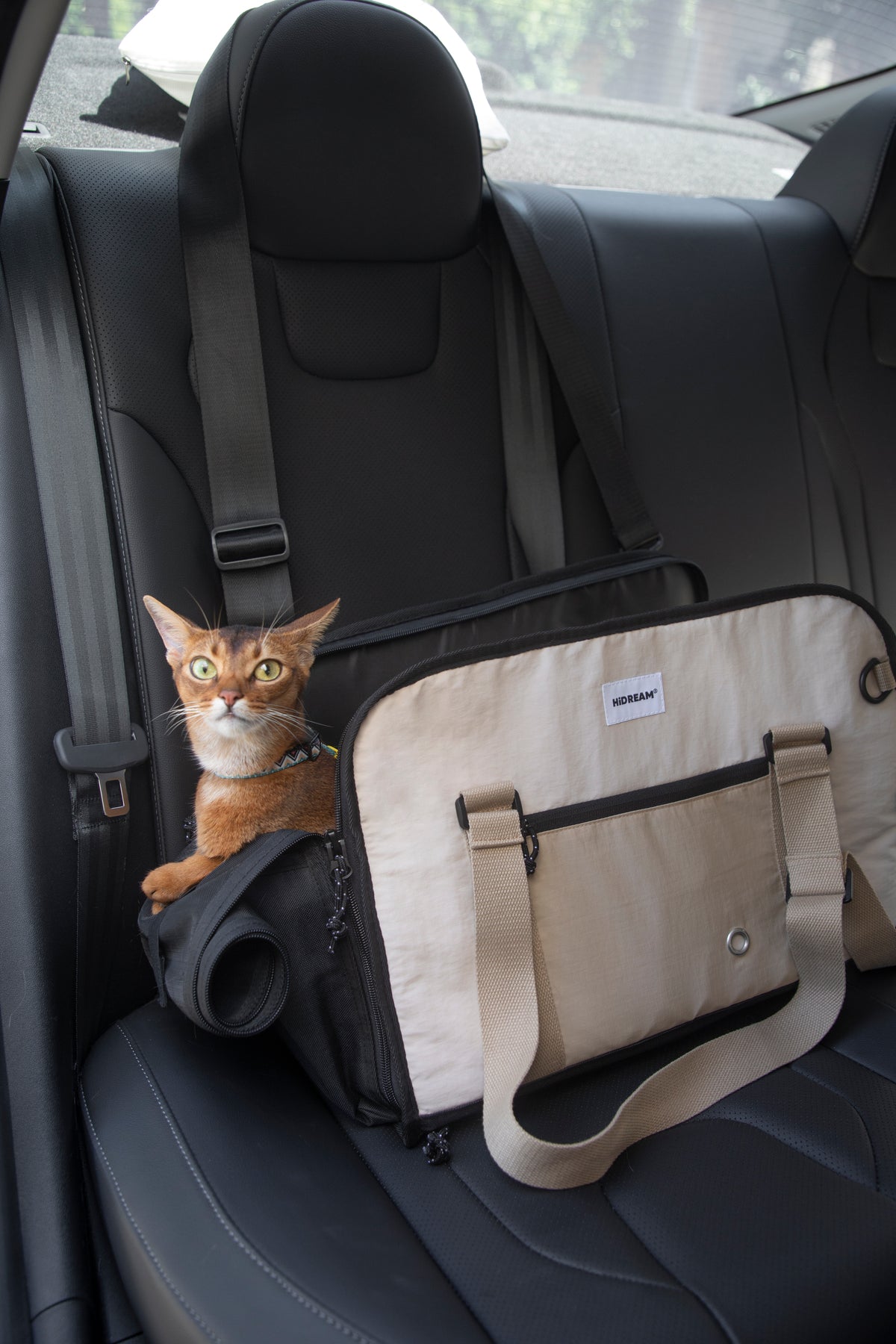 Pet Travel Shoulder Tote Bag