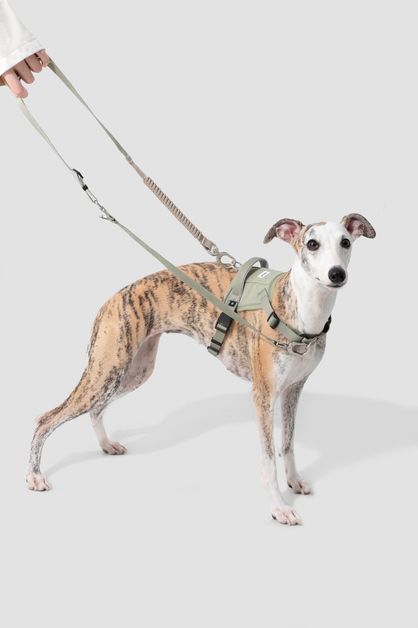 Valley Series - Dog Quick-Wear Anti-Pull Harness