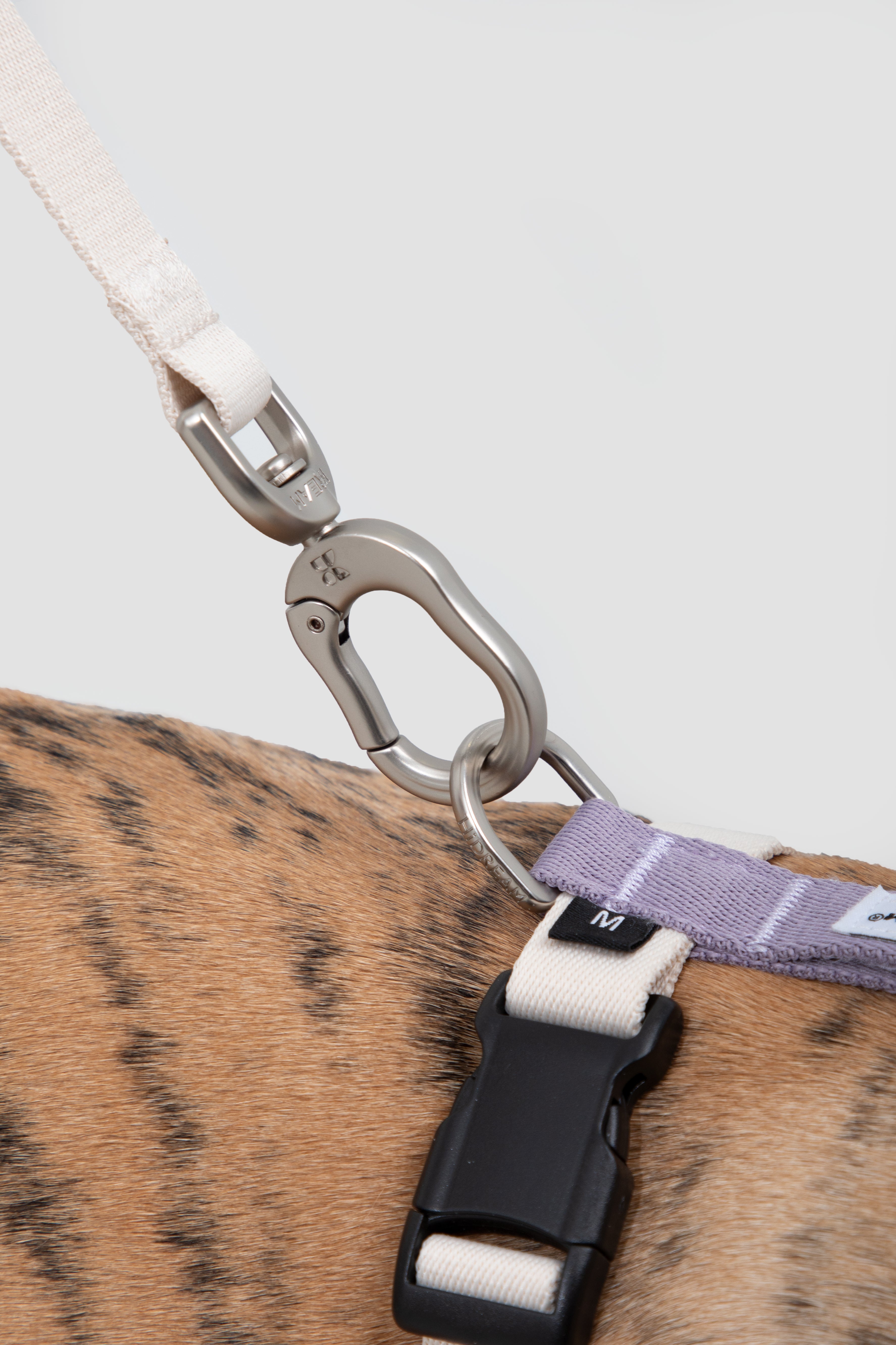 Valley Series - Dog I-Shaped Harness and Leash Set