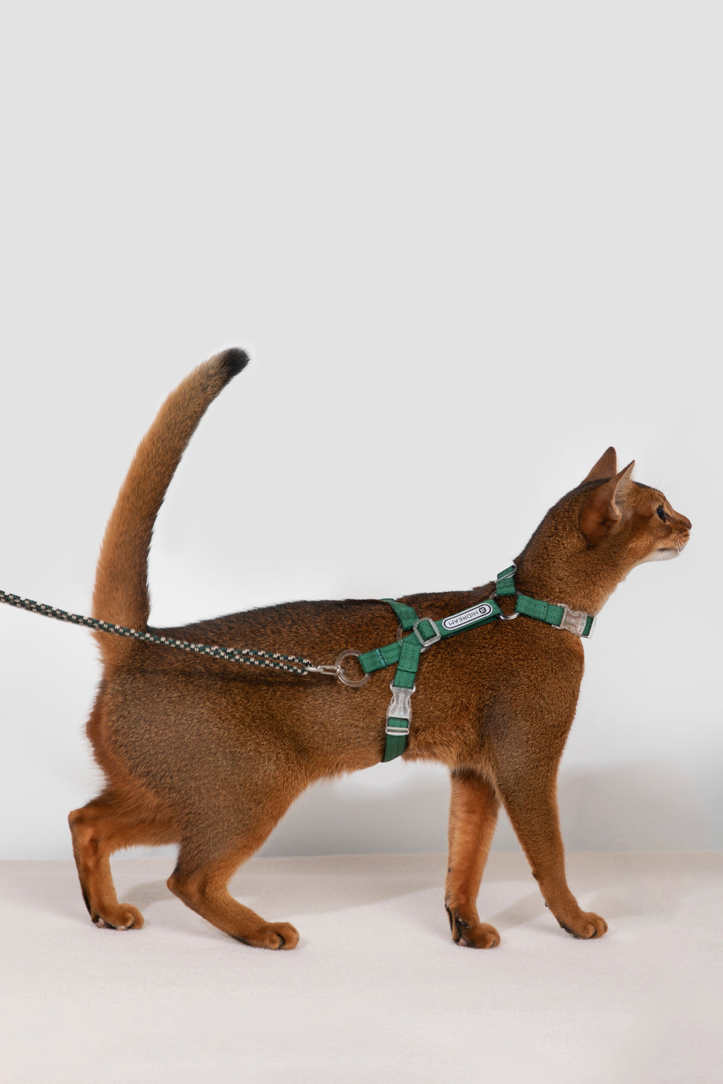 Free Exploration Cat Harness & Leash Set