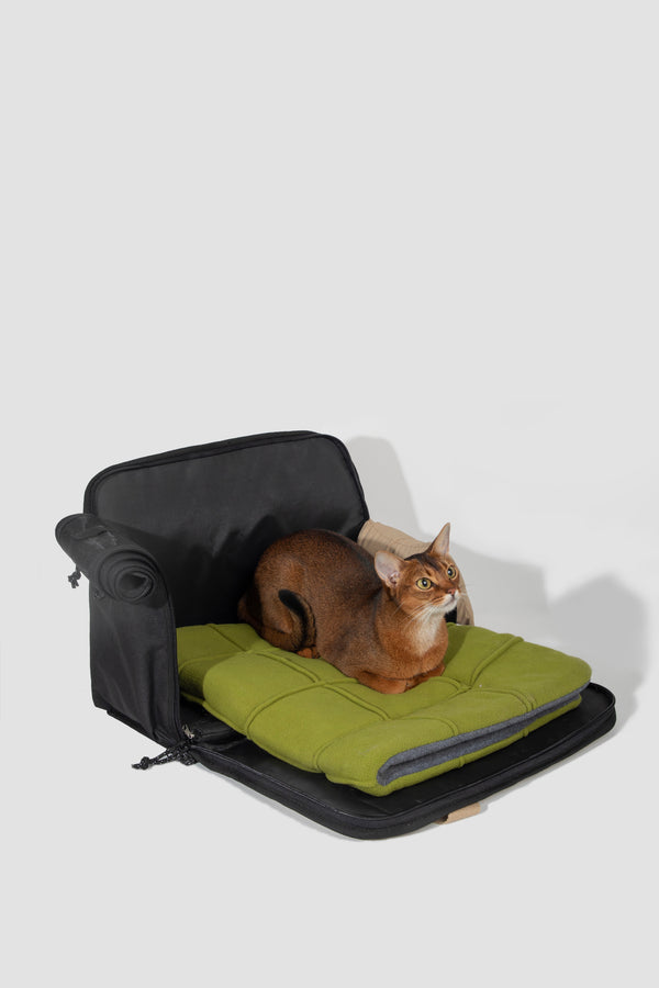 Product feature