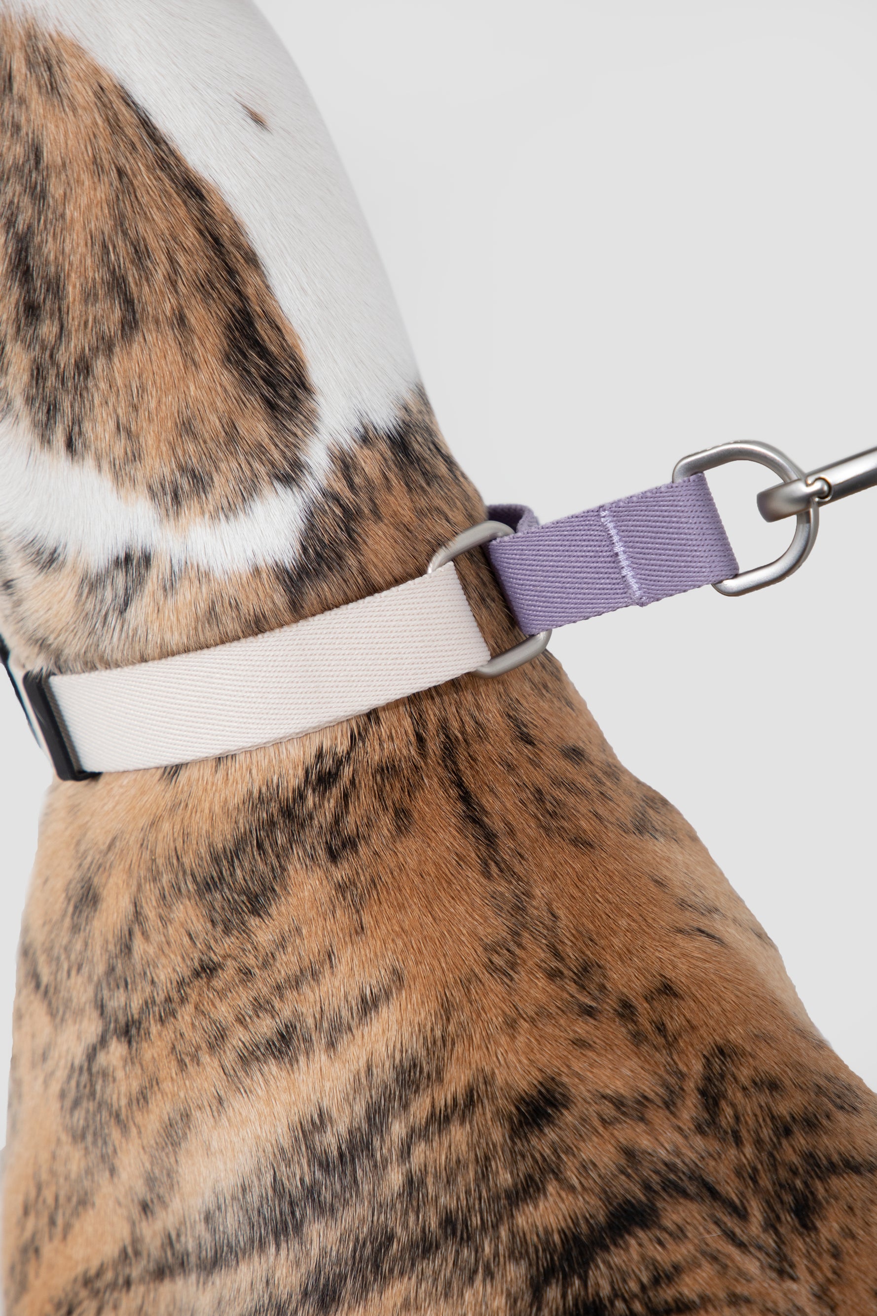 Valley Series · Dog Half-P Anti-Pull Collar