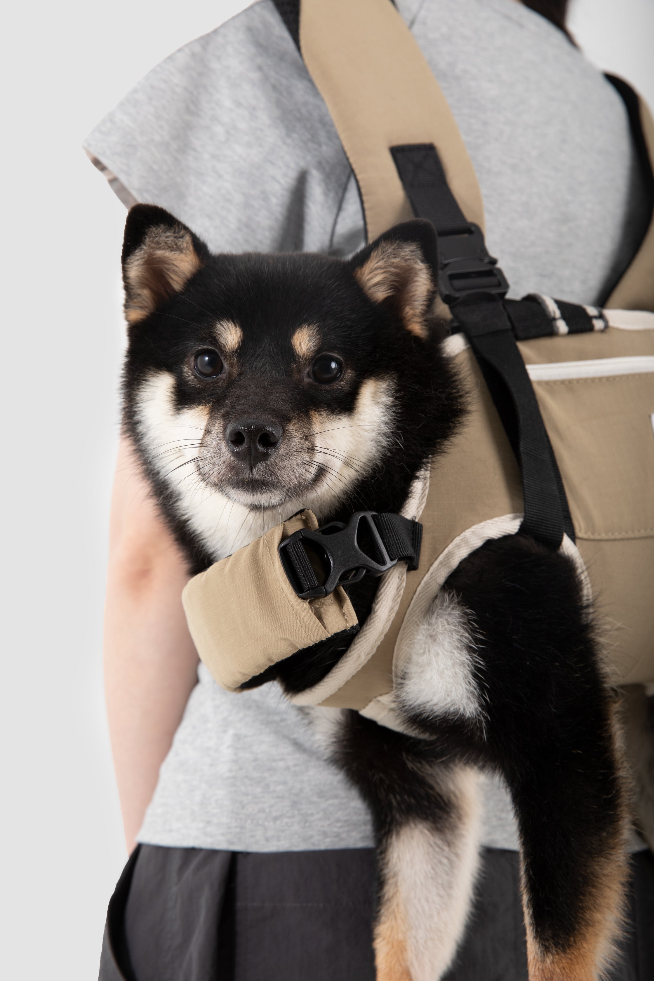 Pet Spine Protection Horizontal Backpack