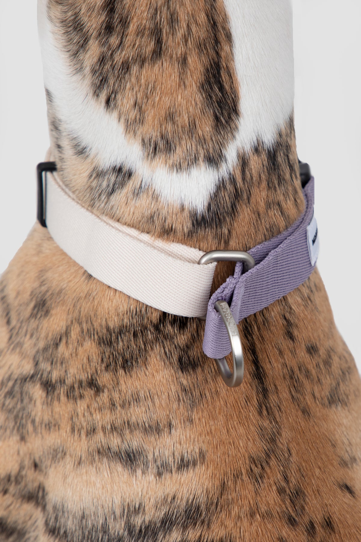 Valley Series · Dog Half-P Anti-Pull Collar