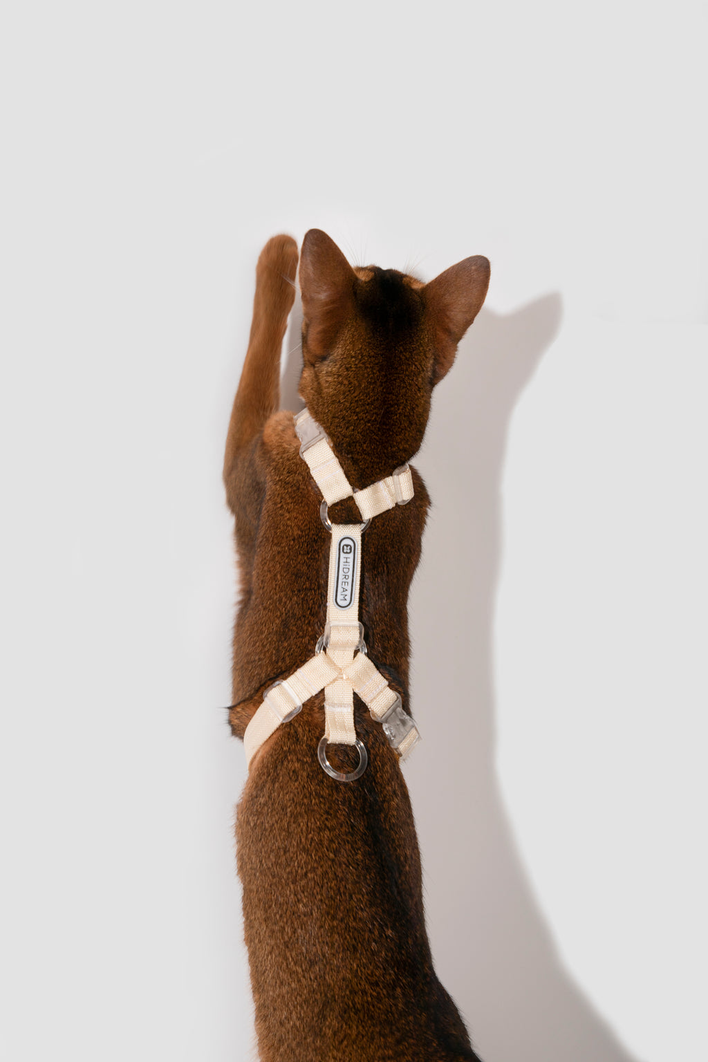 Free Exploration Cat Harness & Leash Set