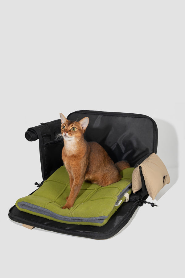Product feature