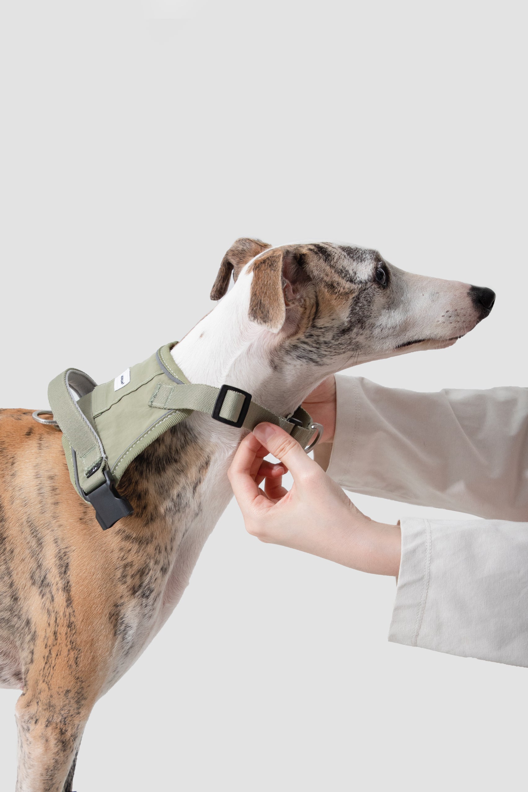 Valley Series - Dog Quick-Wear Anti-Pull Harness