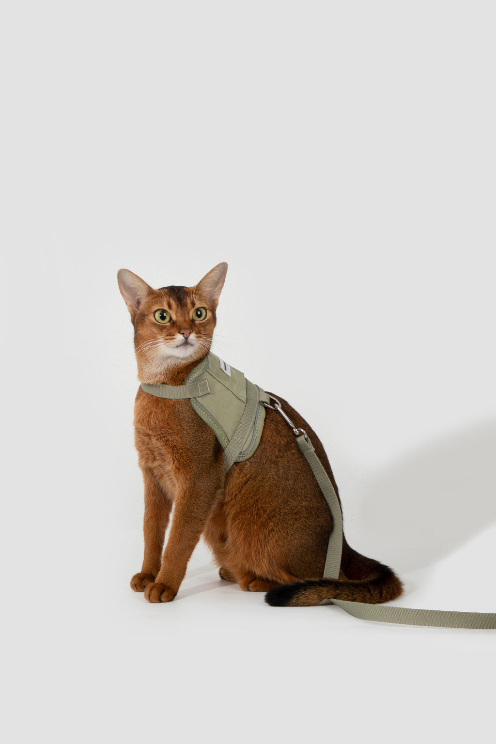 Valley Small Vest Cat Harness & Leash Set
