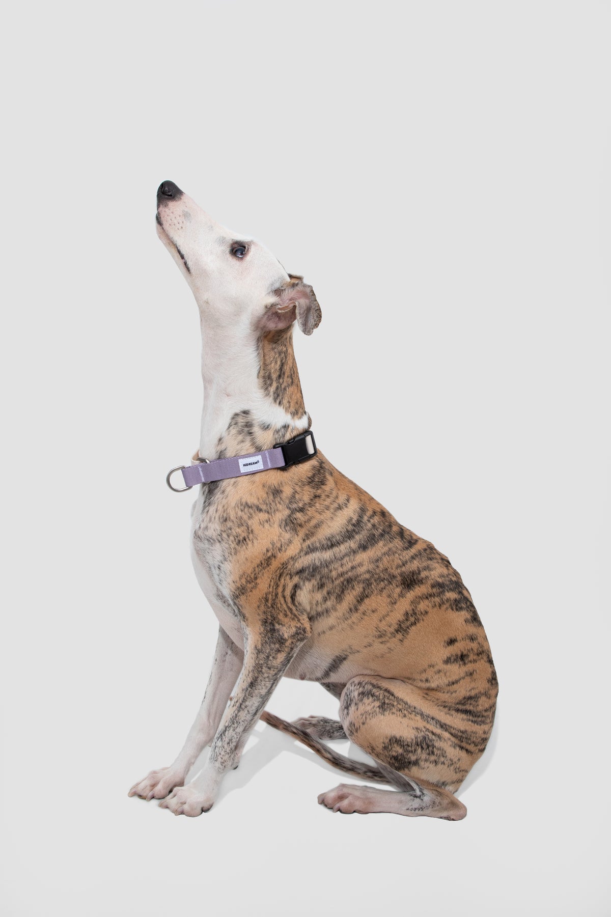 Valley Series · Dog Half-P Anti-Pull Collar