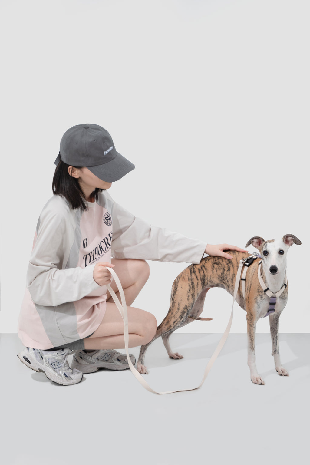 Valley Series - Dog I-Shaped Harness and Leash Set