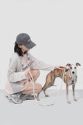 Valley Series - Dog I-Shaped Harness and Leash Set