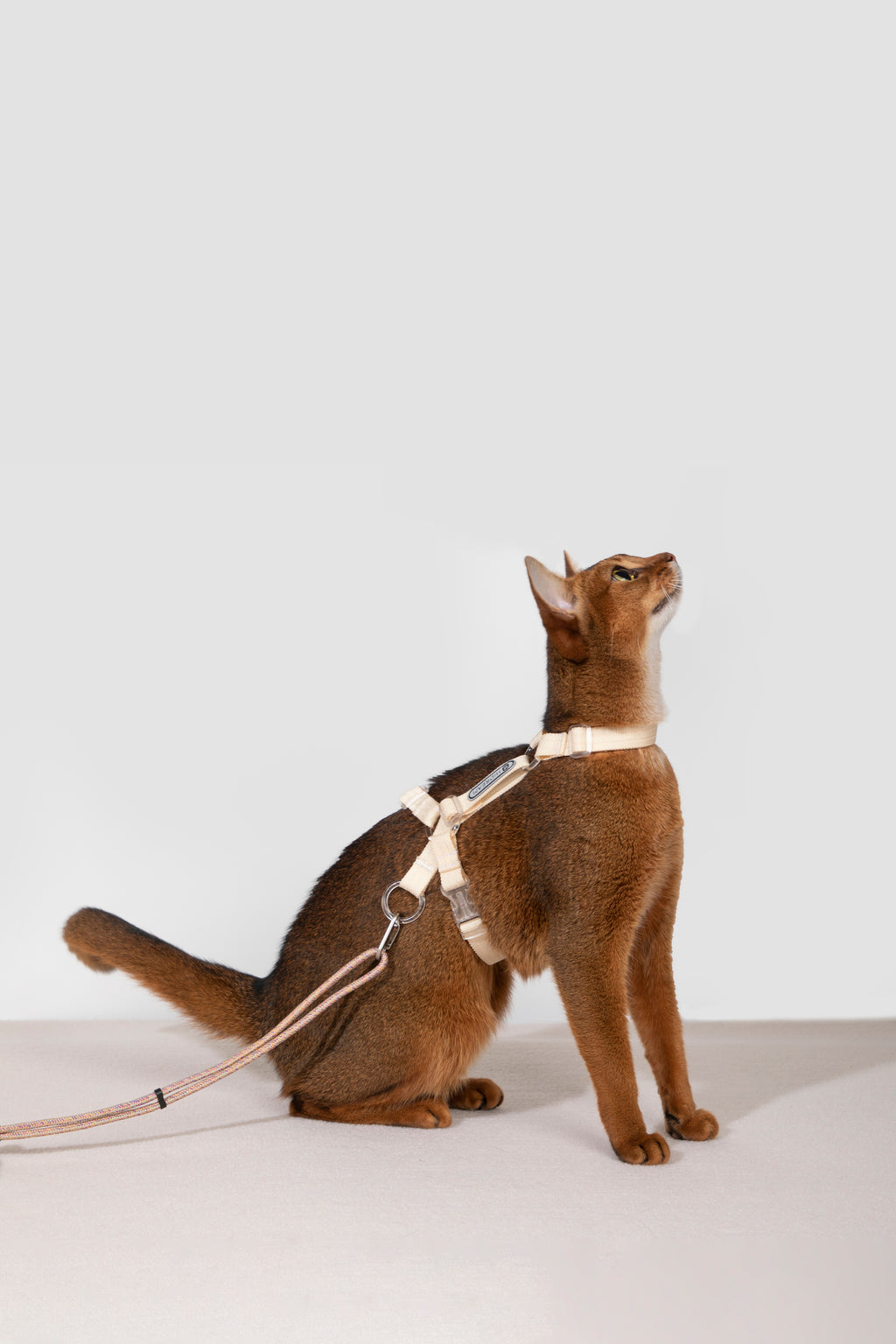 Free Exploration Cat Harness & Leash Set
