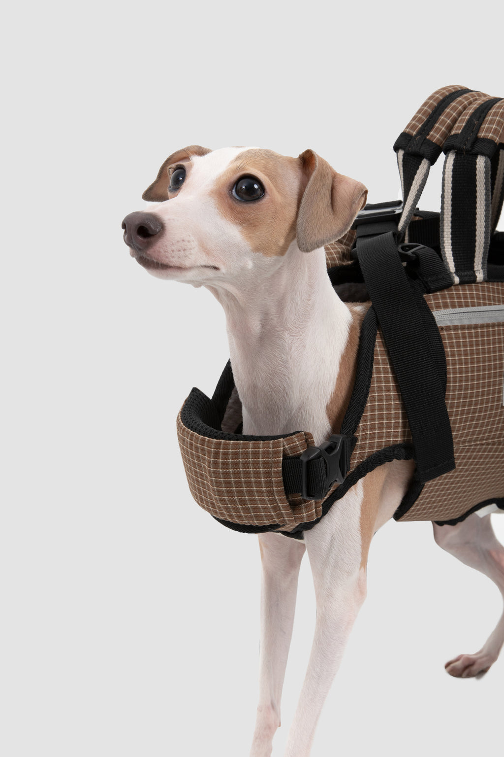Pet Spine Protection Horizontal Backpack (Ice Silk)