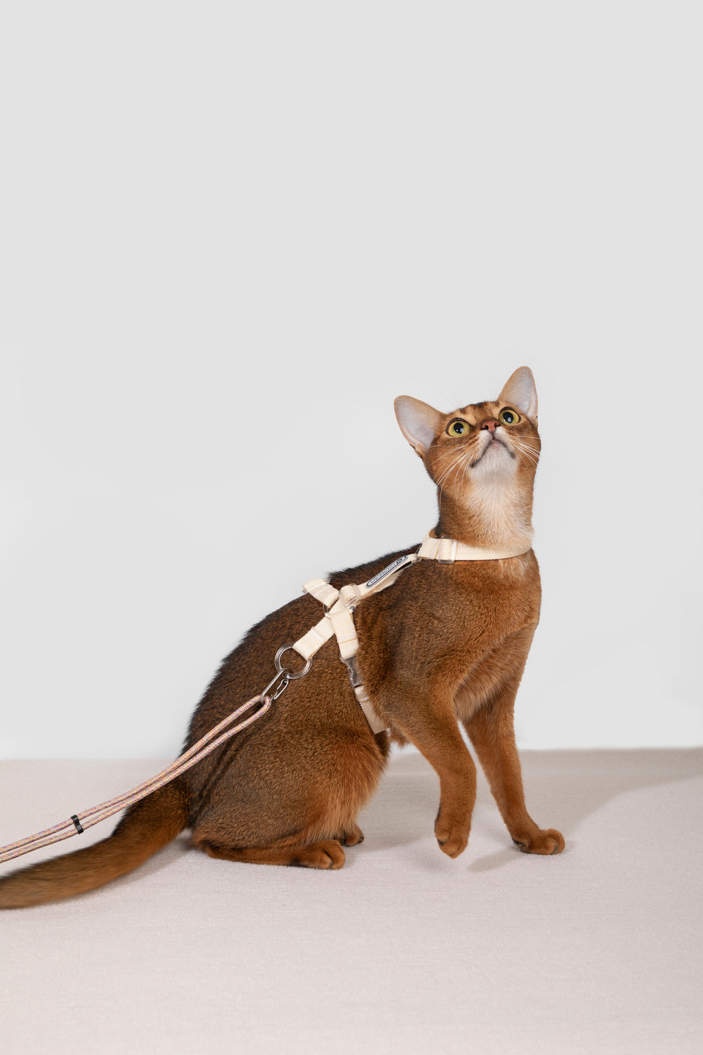 Free Exploration Cat Harness & Leash Set