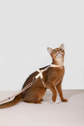 Free Exploration Cat Harness & Leash Set
