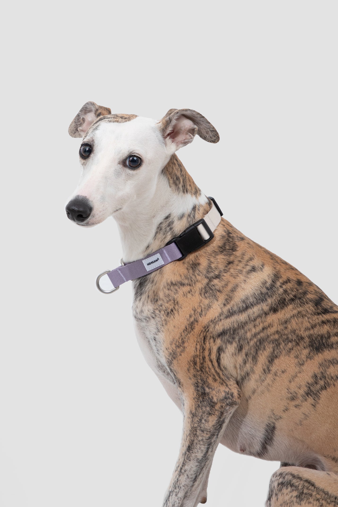 Valley Series · Dog Half-P Anti-Pull Collar