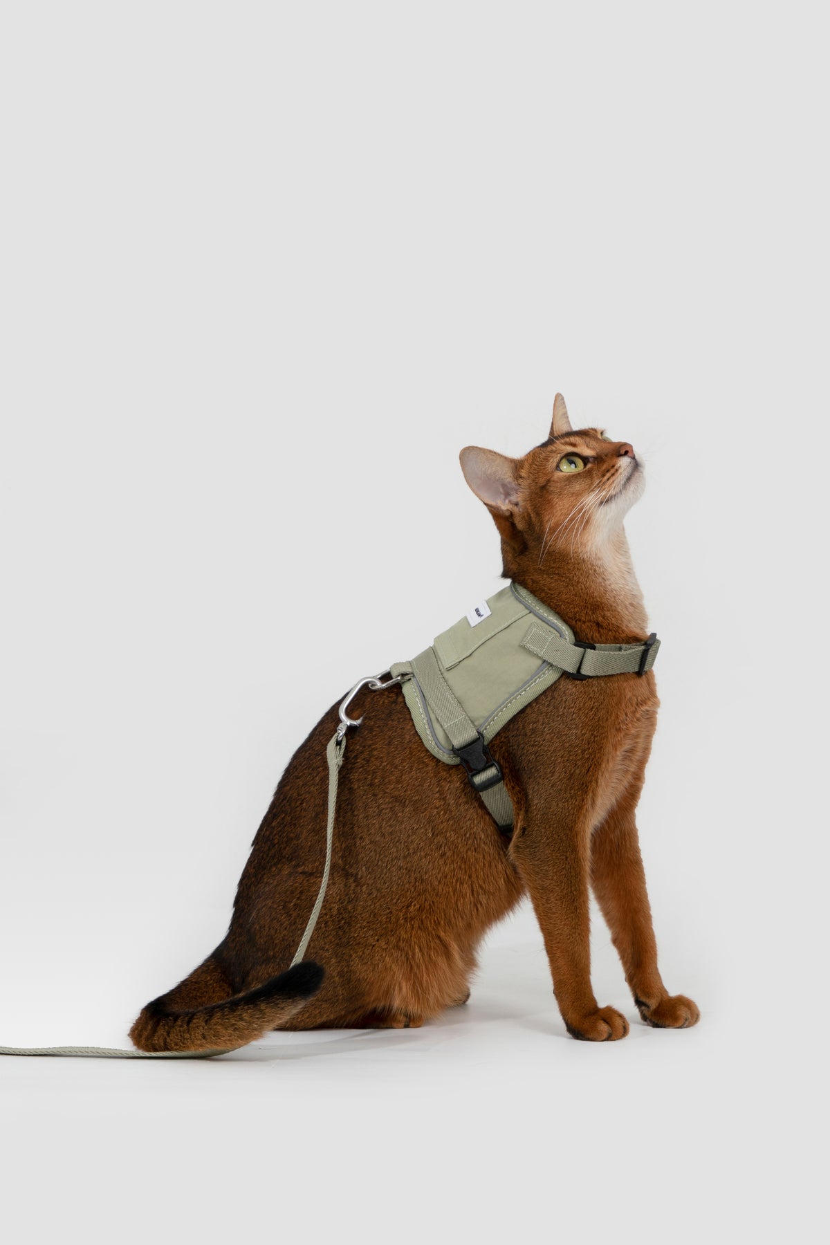 Valley Small Vest Cat Harness & Leash Set