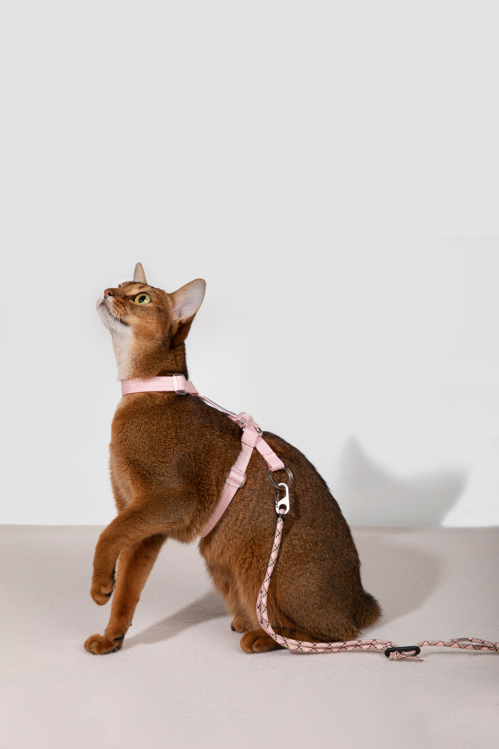 Free Exploration Cat Harness & Leash Set