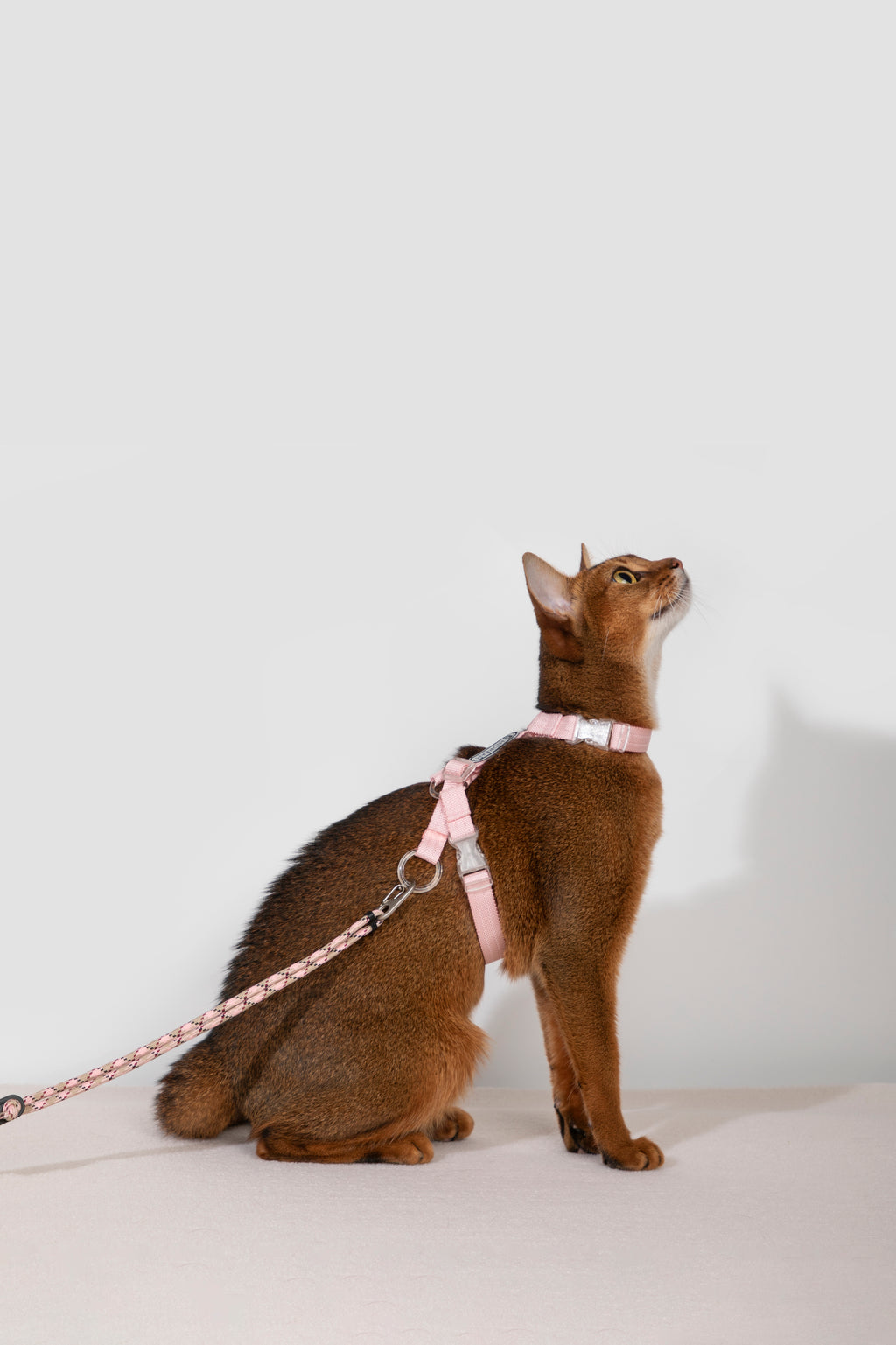 Free Exploration Cat Harness & Leash Set