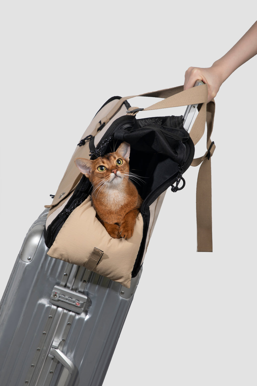 Pet Travel Shoulder Tote Bag