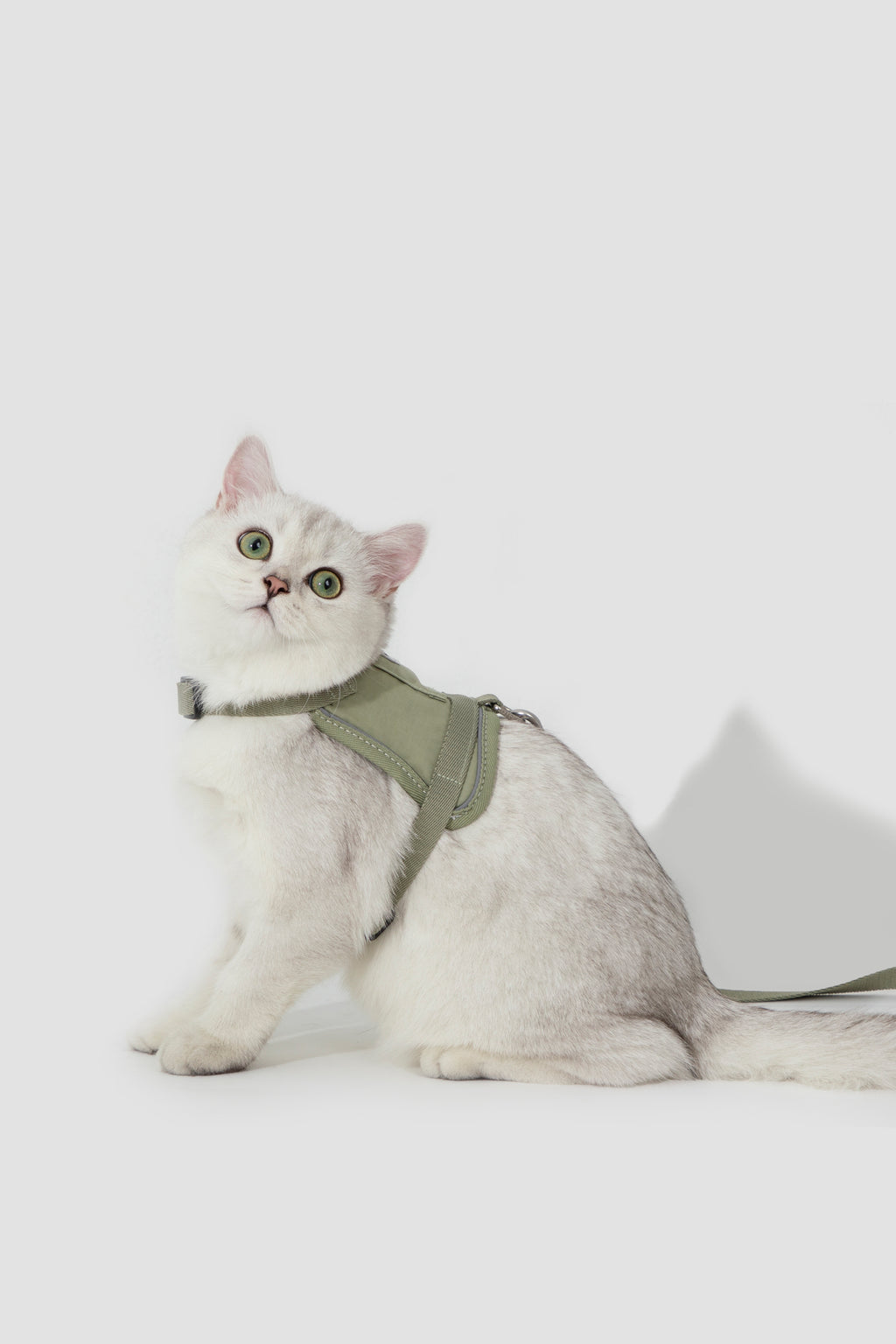 Valley Small Vest Cat Harness & Leash Set