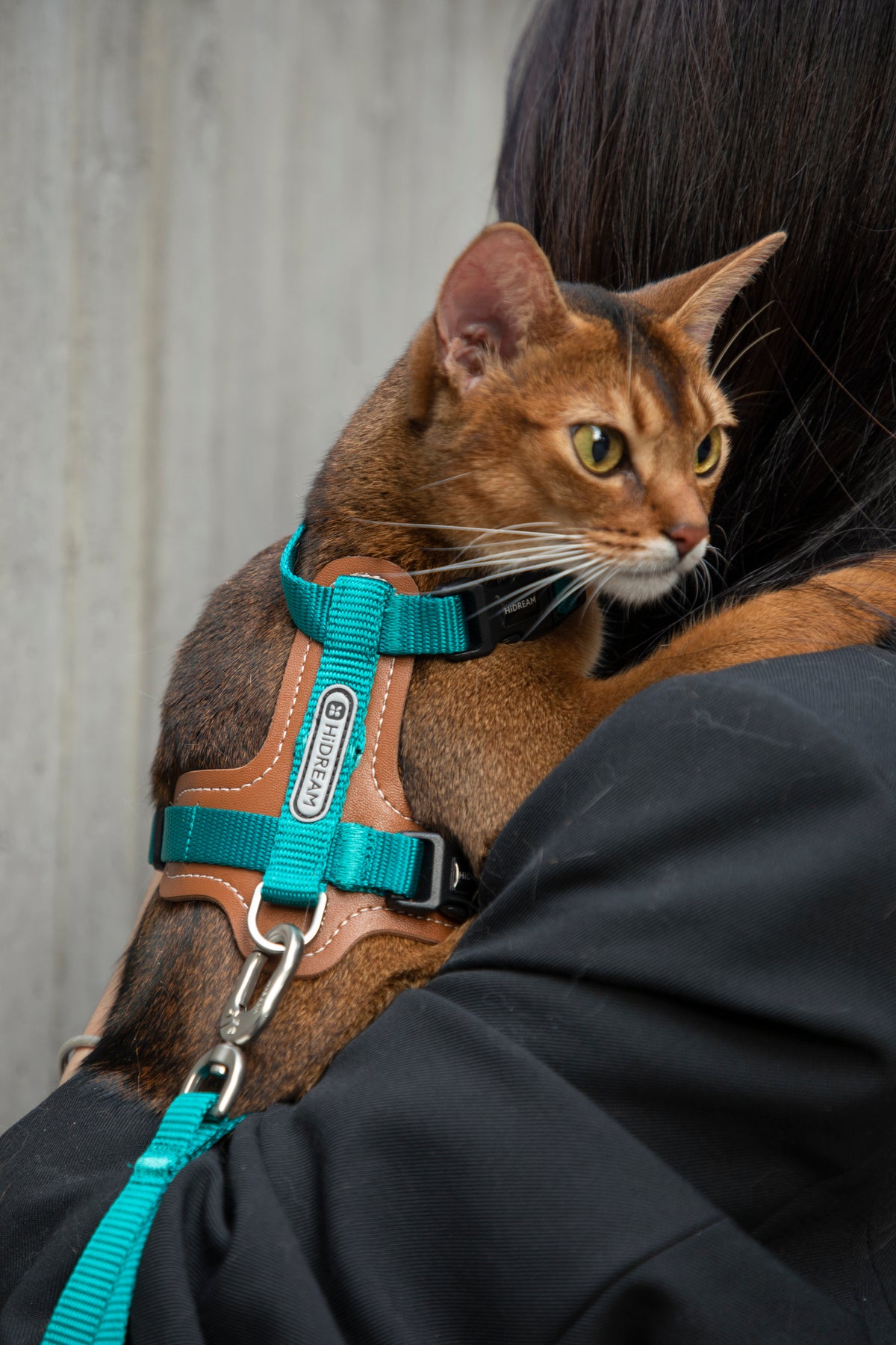 Artisan Leather Cat Harness and Leash Set