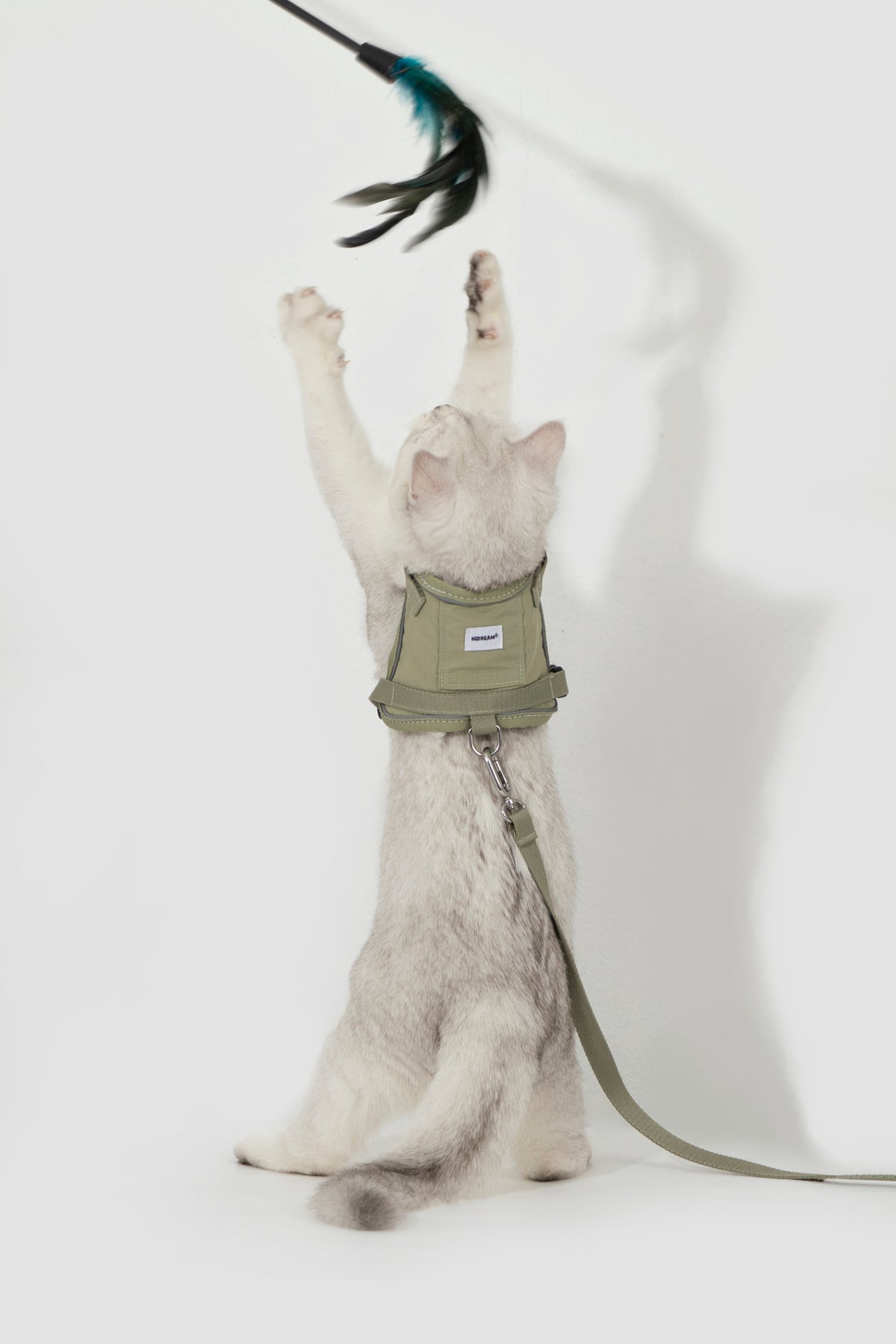 Valley Small Vest Cat Harness & Leash Set