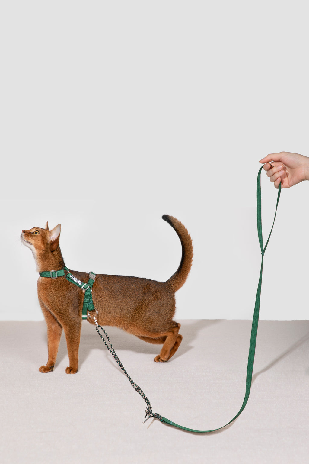 Free Exploration Cat Harness & Leash Set