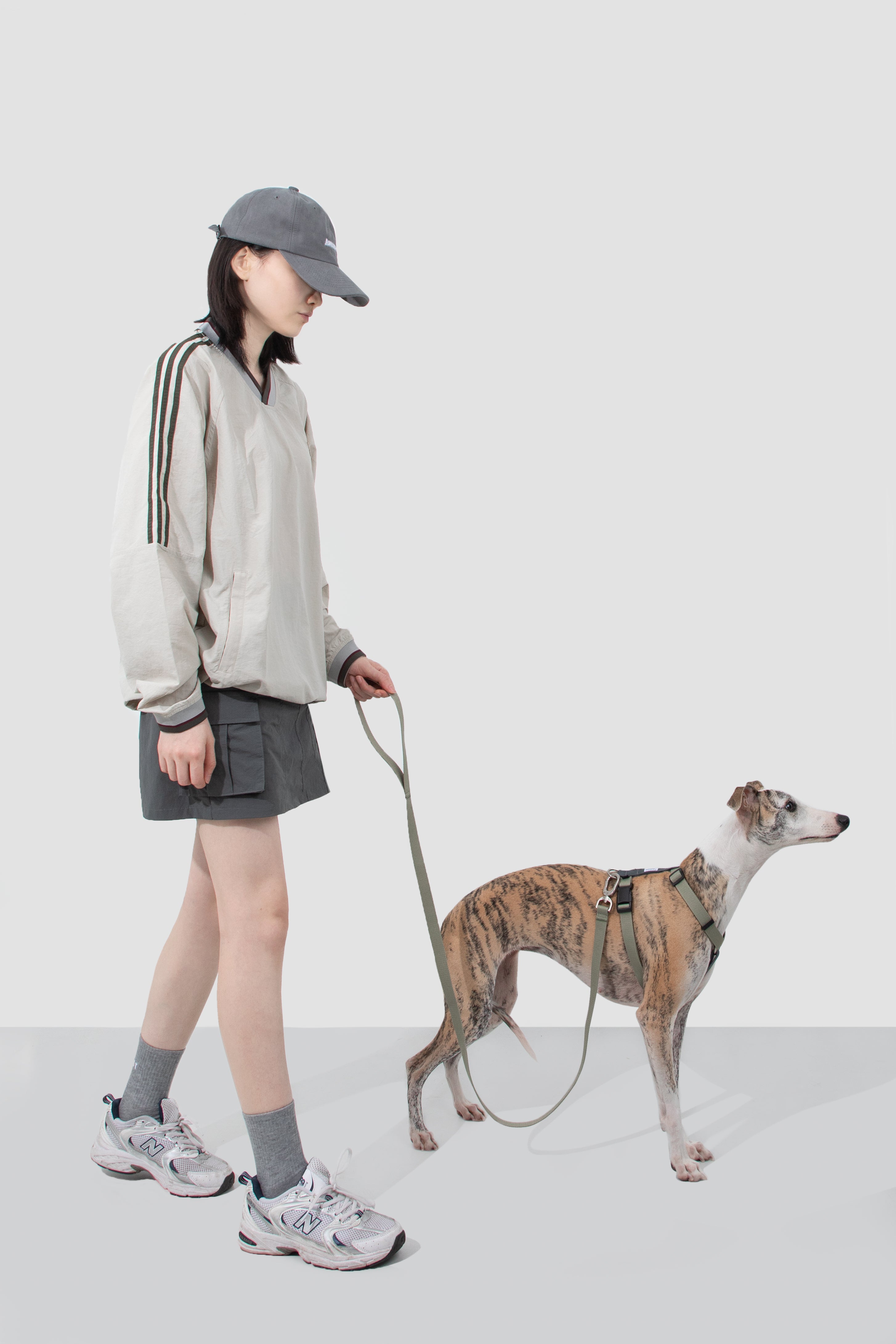 Valley Series - Dog I-Shaped Harness and Leash Set