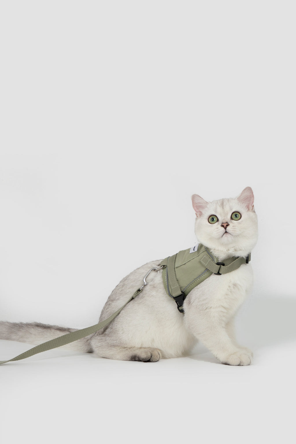 Valley Small Vest Cat Harness & Leash Set