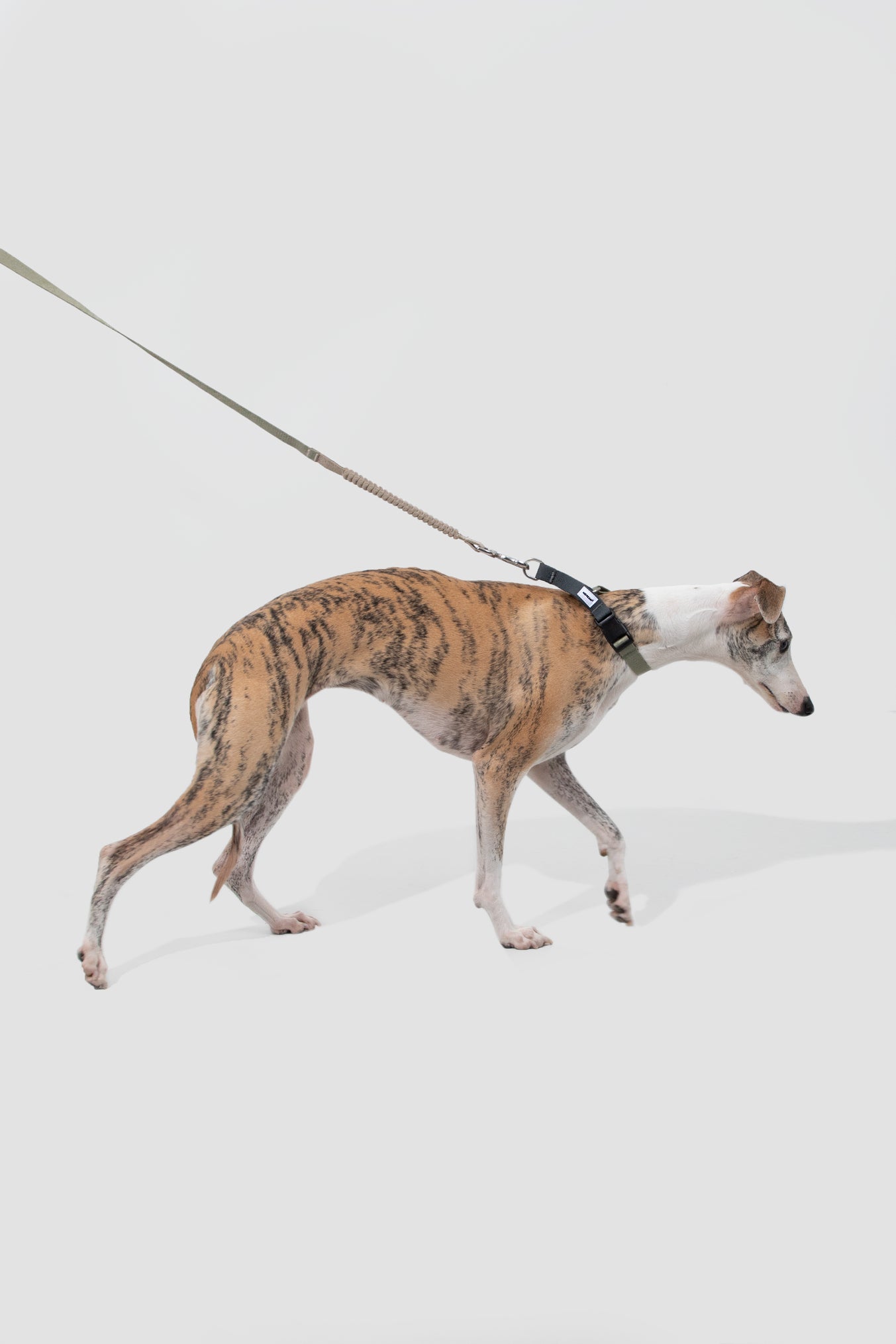 Valley Series · Dog Half-P Anti-Pull Collar