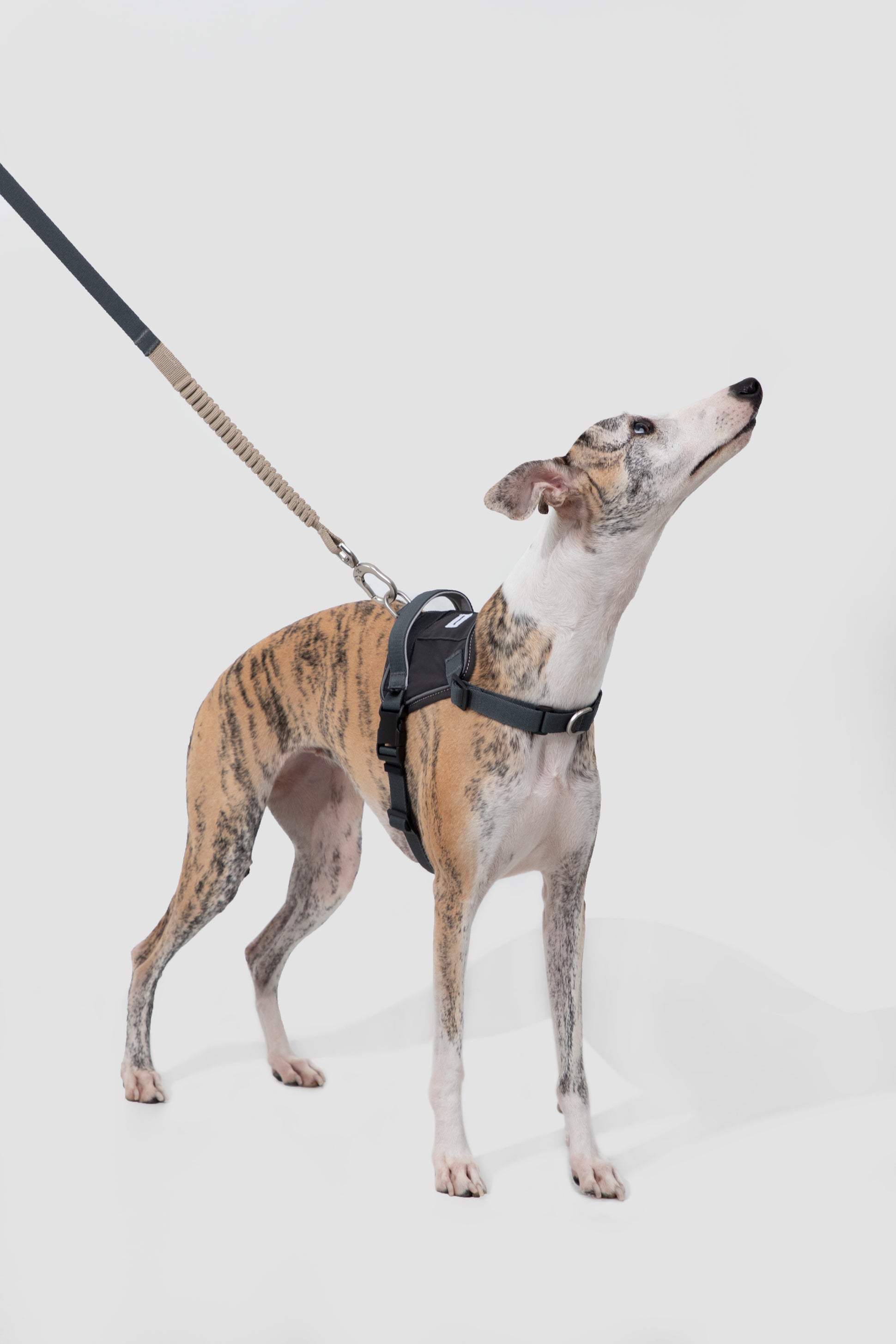 Valley Series - Dog Quick-Wear Anti-Pull Harness