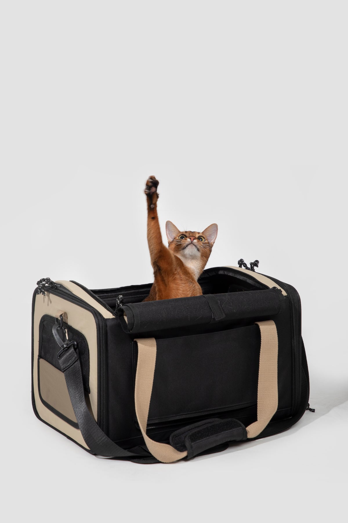 Pet Aviation Tote Travel Bag