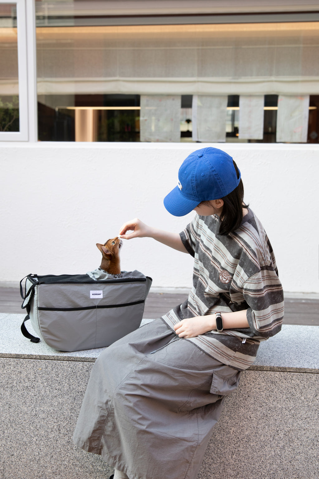 Mountain Style Pet Tote Crossbody Bag
