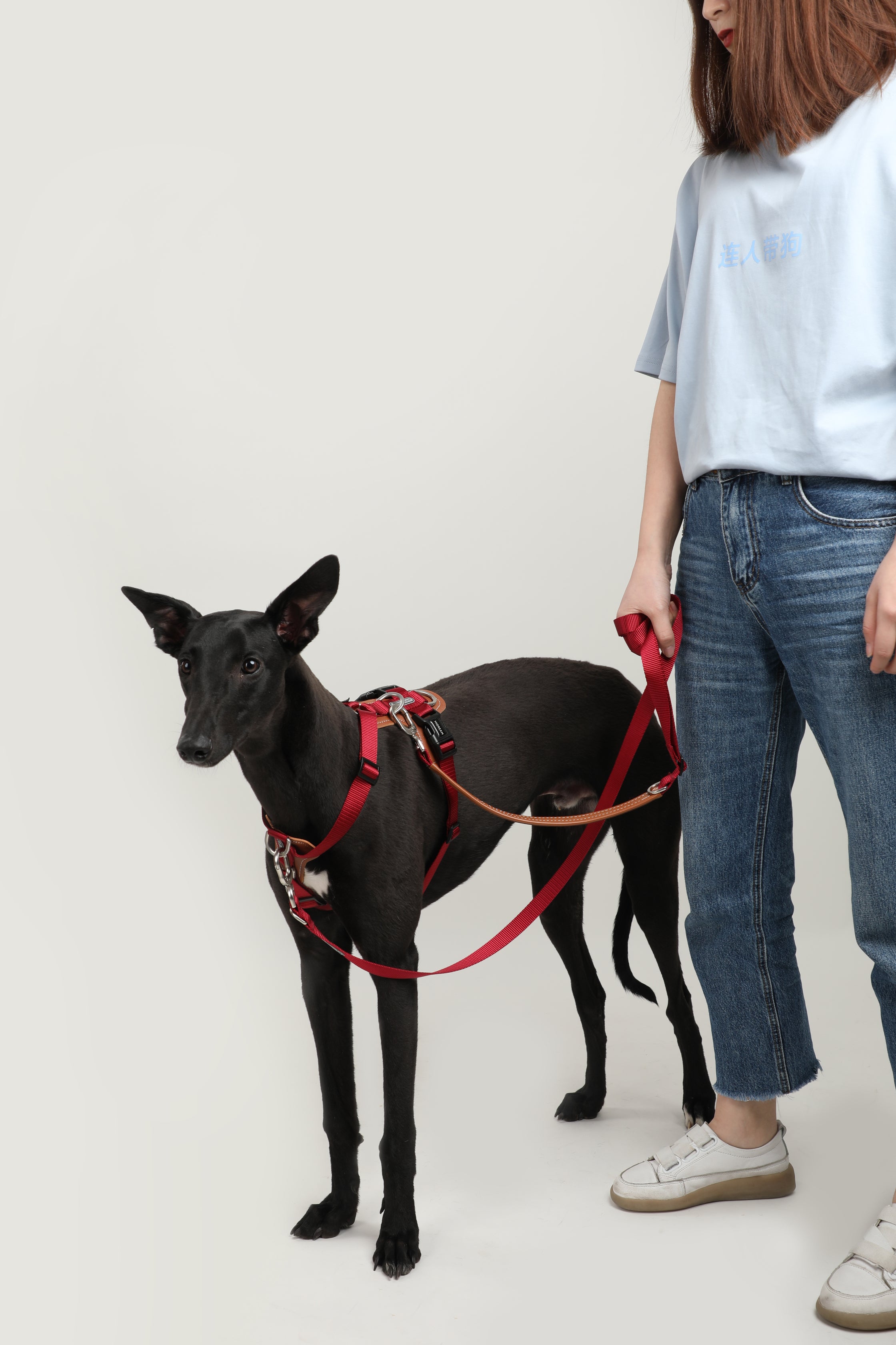 Bobo Series · I-Shaped Harness