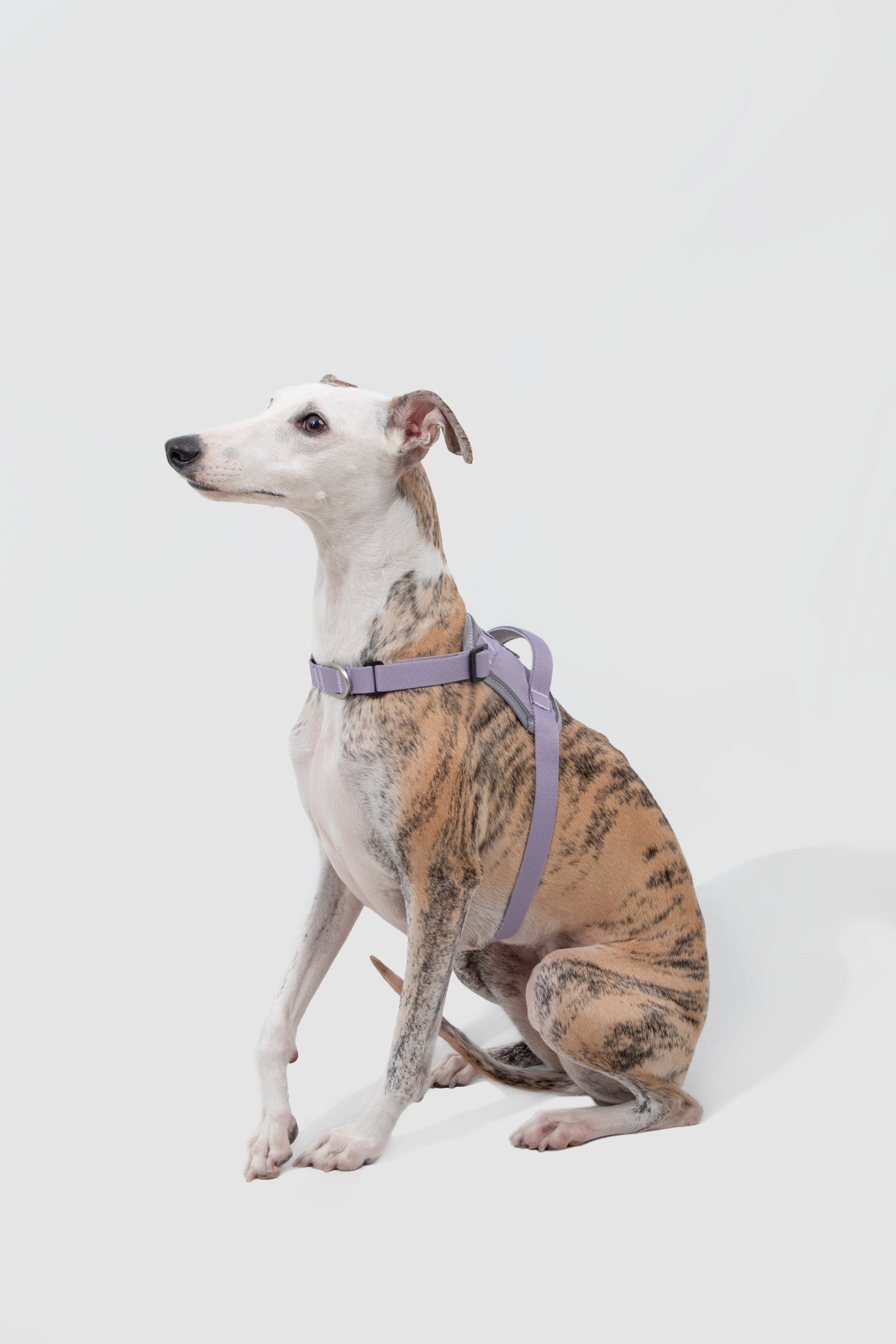 Valley Series - Dog Quick-Wear Anti-Pull Harness