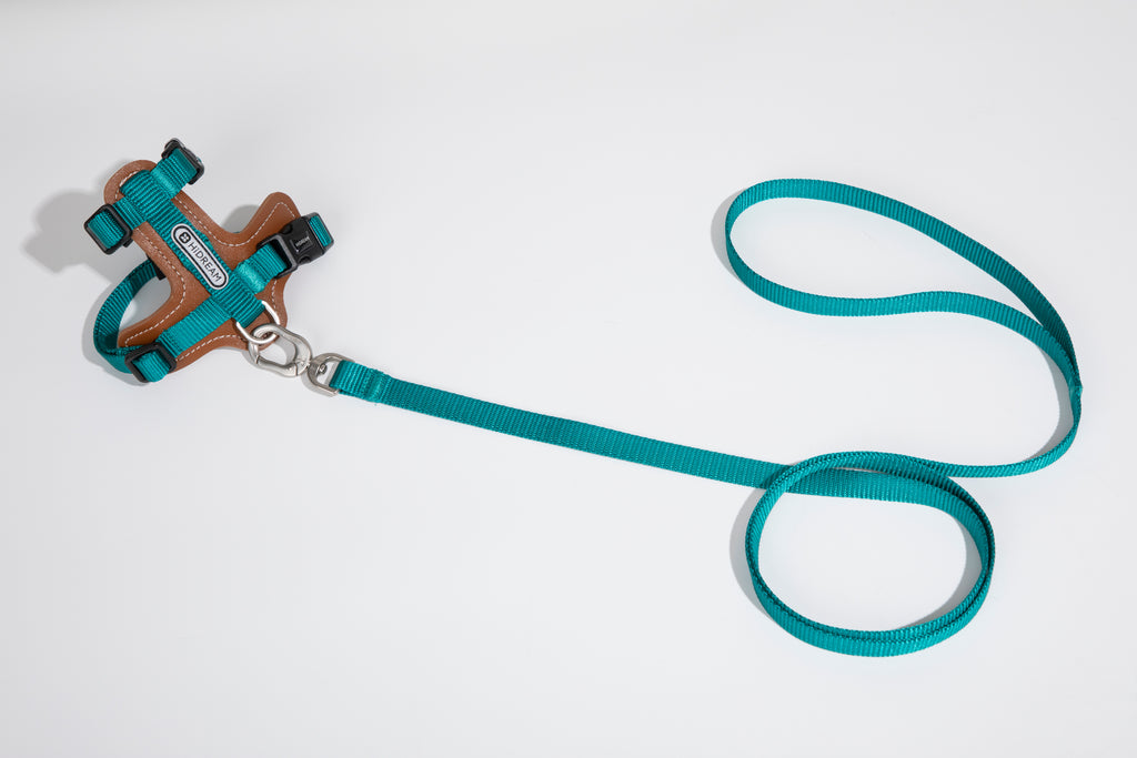 Artisan Leather Cat Harness and Leash Set