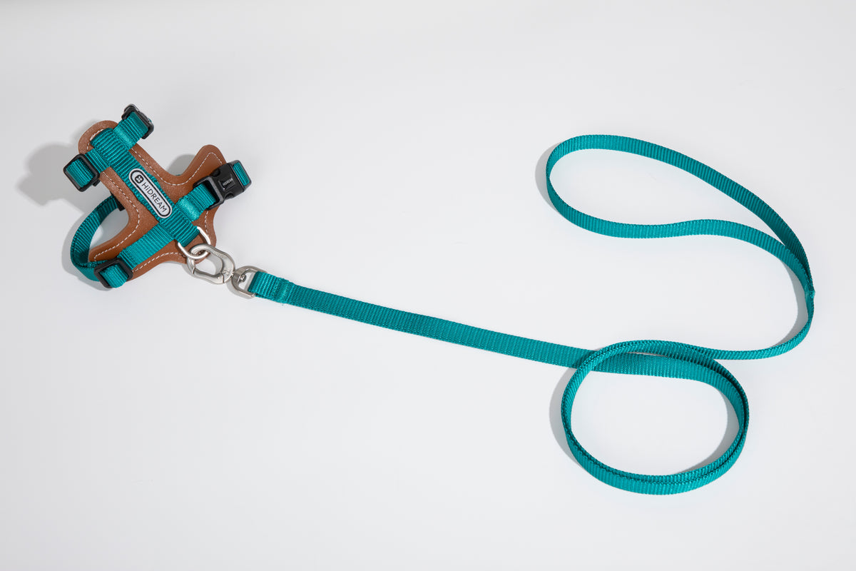 Artisan Leather Cat Harness and Leash Set