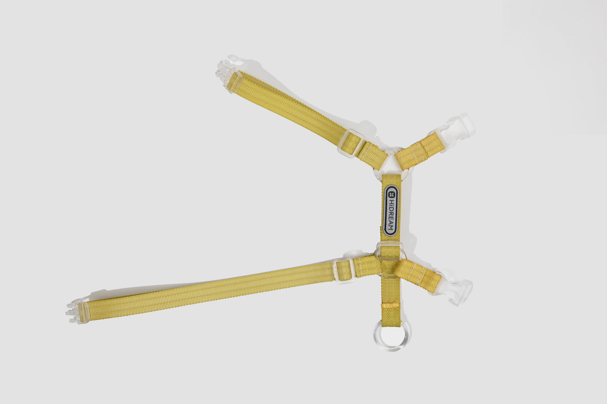 Free Exploration Cat Harness & Leash Set