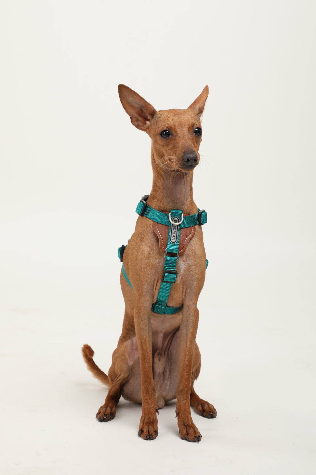 Bobo Series · I-Shaped Harness