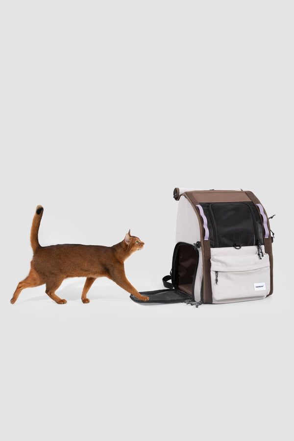 Product feature