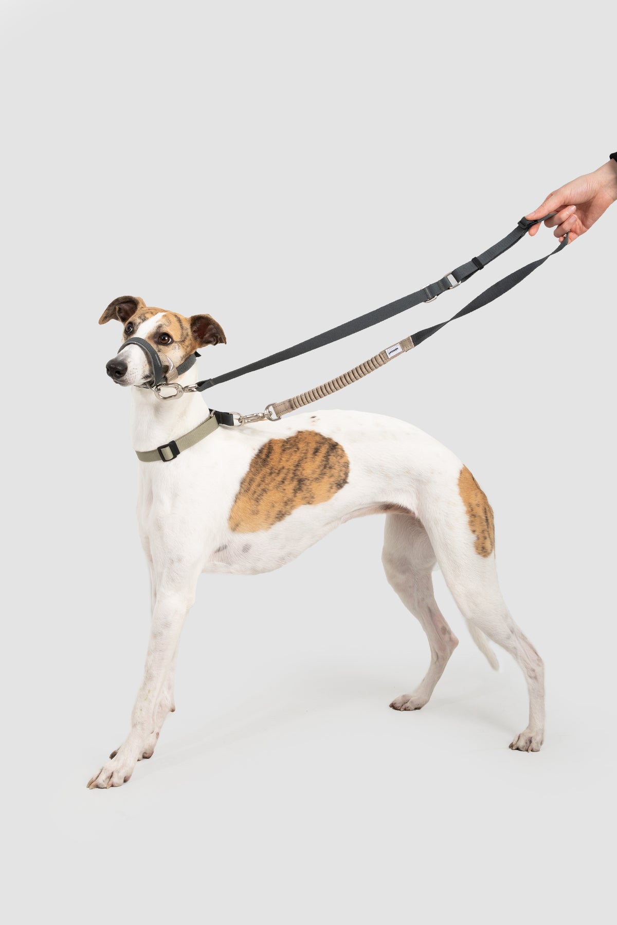 Valley Series – Multi-Functional Training Dog Muzzle