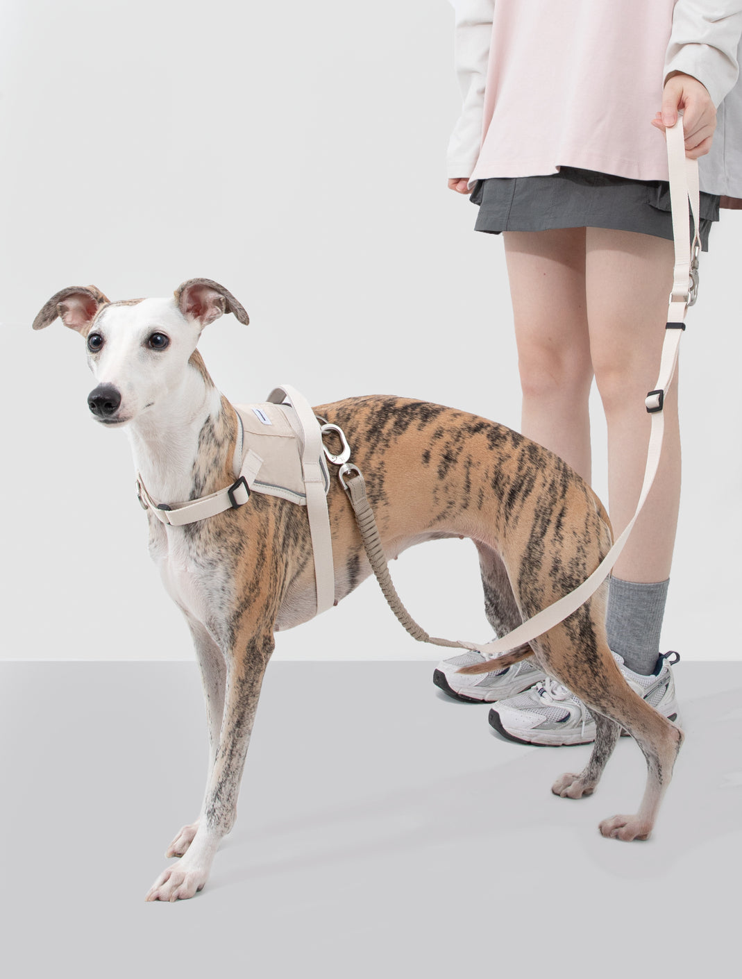Valley Series - Dog Quick-Wear Anti-Pull Harness