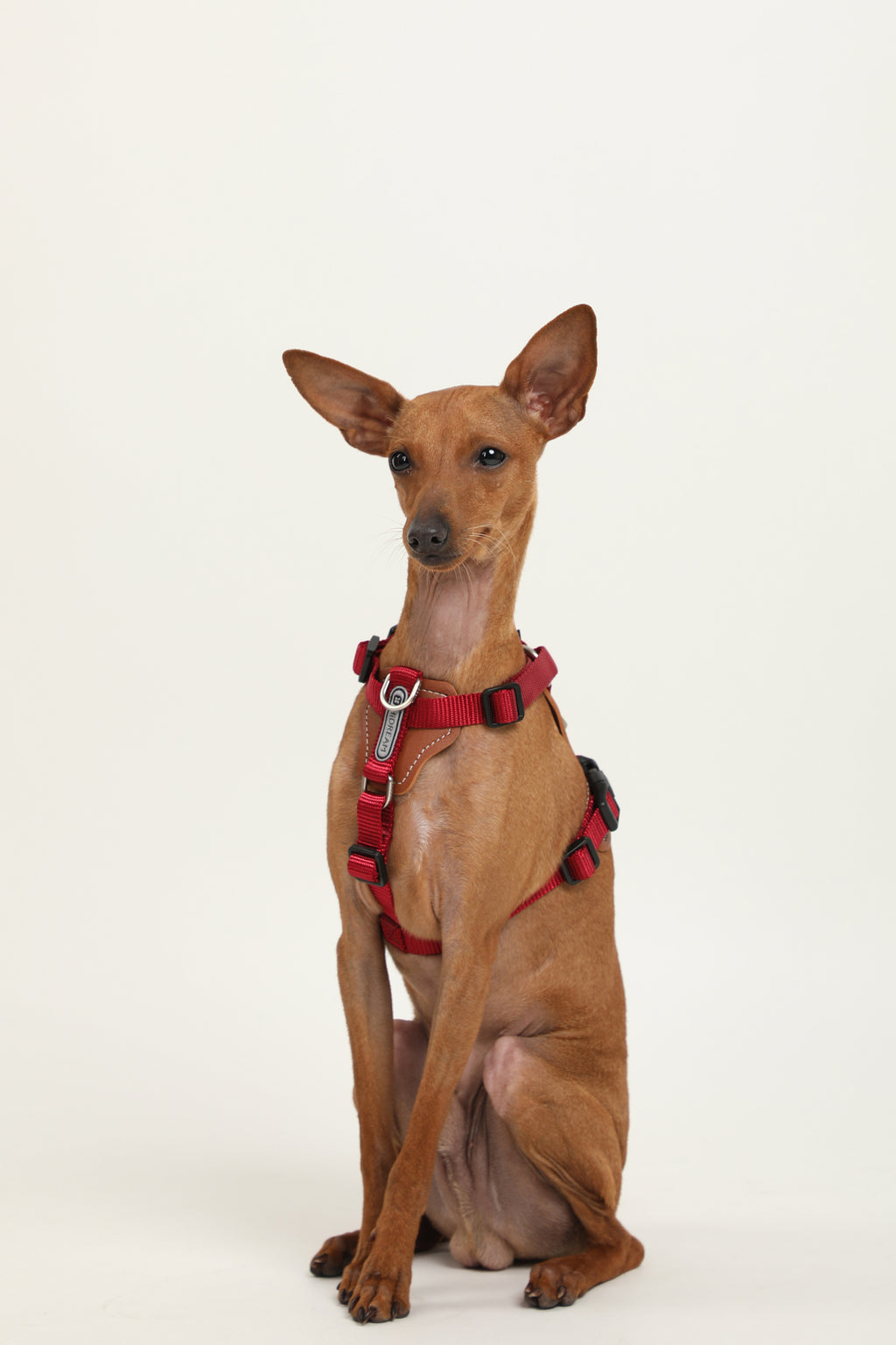 Bobo Series · I-Shaped Harness