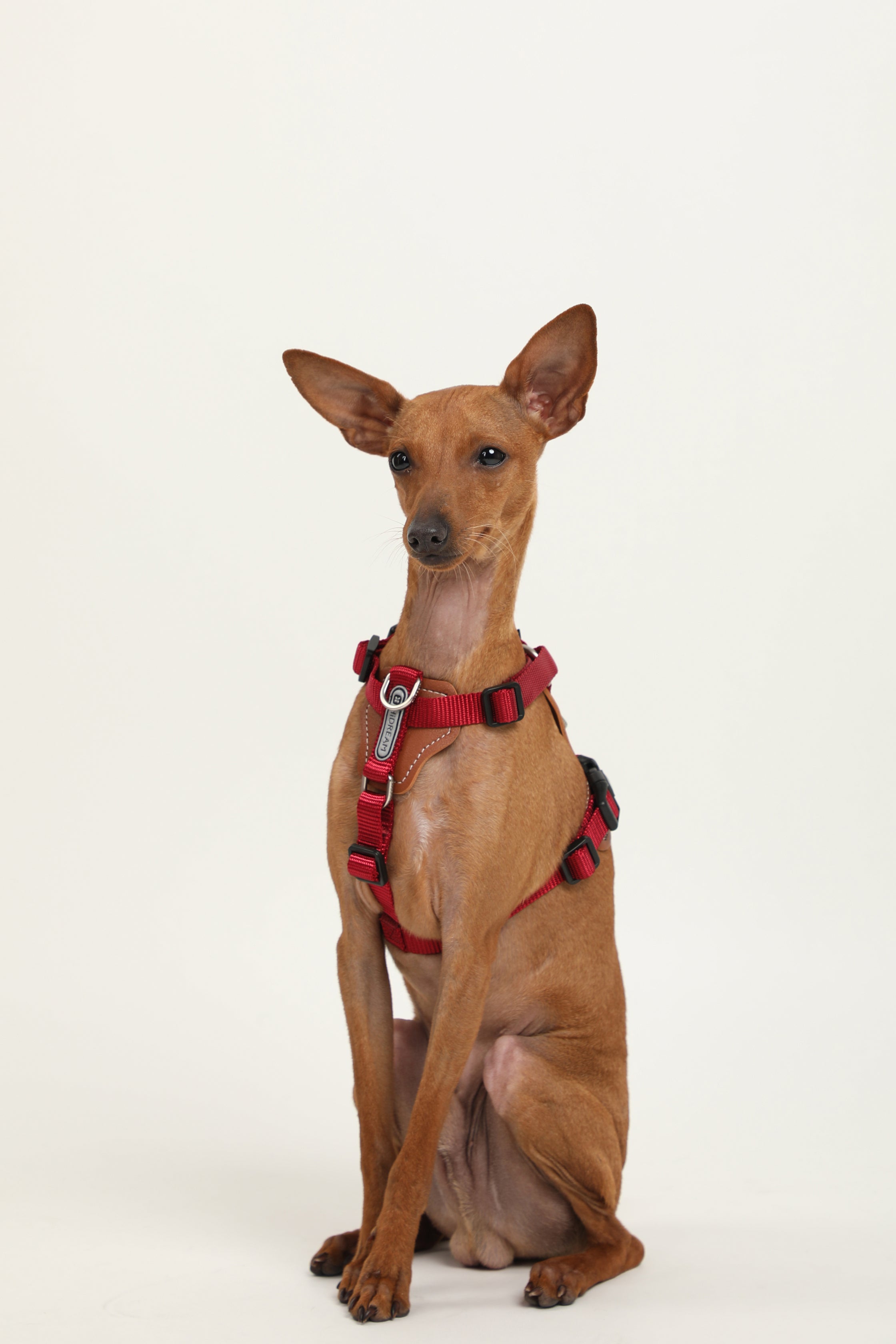 Bobo Series · I-Shaped Harness