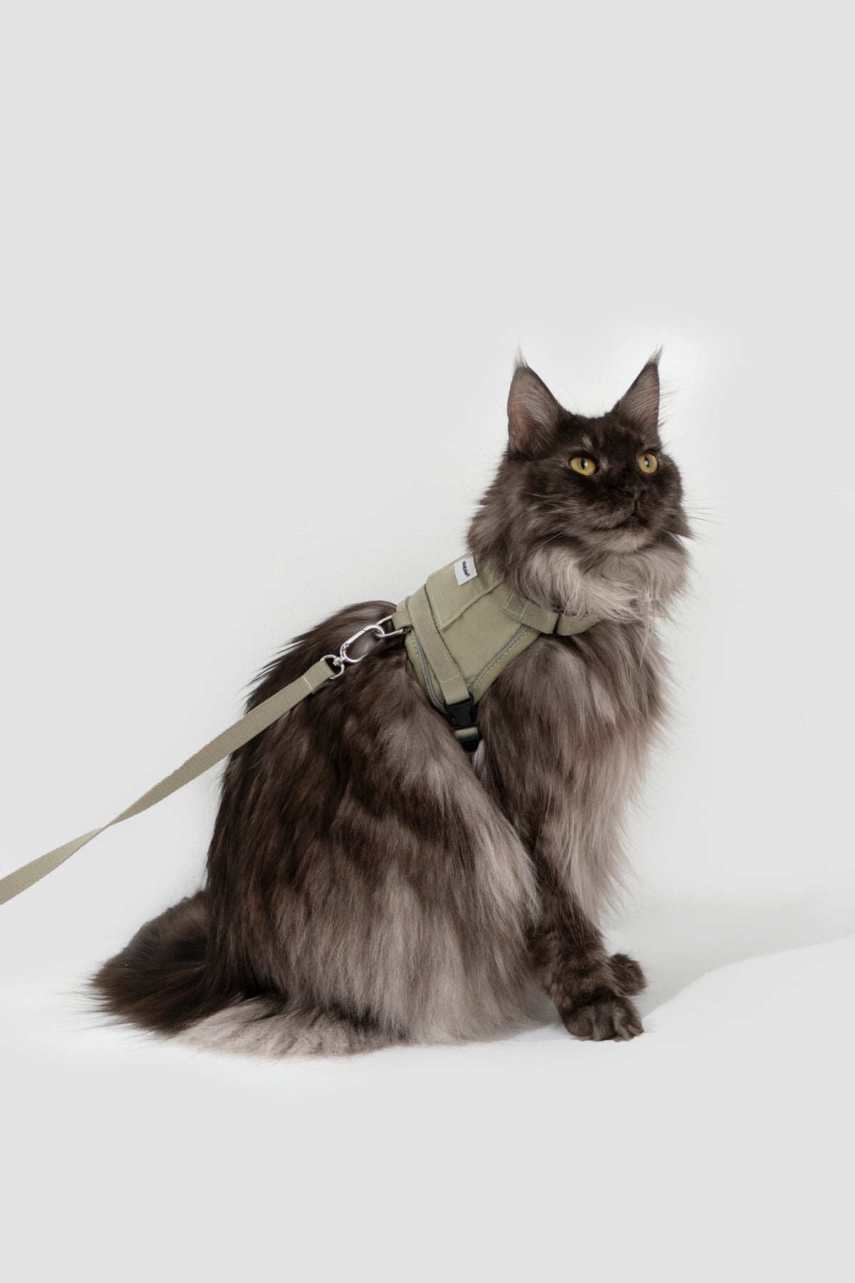 Valley Small Vest Cat Harness & Leash Set